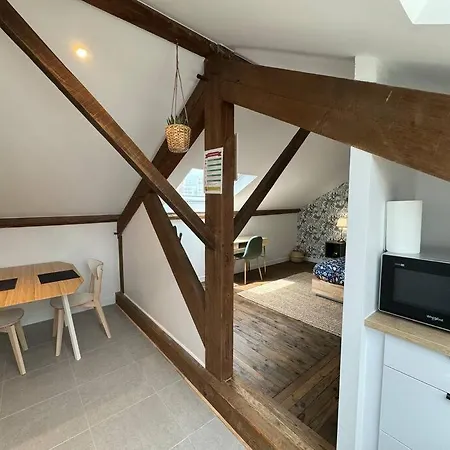 Apartment Magnifique Spacieux Climatise 3 Pradelle *