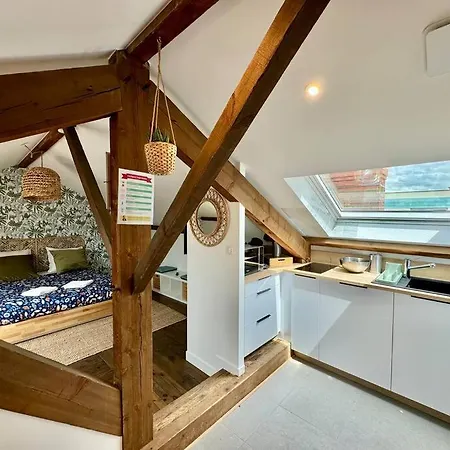 Apartment Magnifique Spacieux Climatise 3 Pradelle Clermont-Ferrand